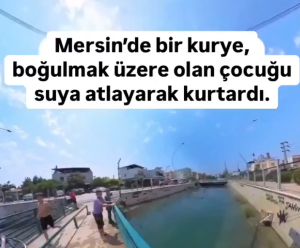 Ekran görüntüsü 2025-06-14 130517